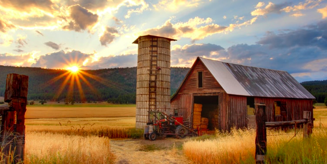 Screen Shot 2019-08-04 at 11.07.43 AM