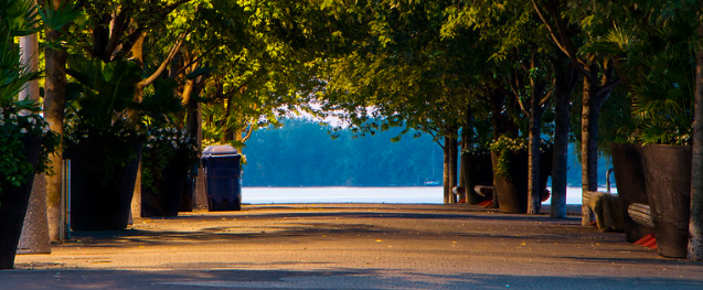 Screen Shot 2019-09-13 at 5.57.39 PM